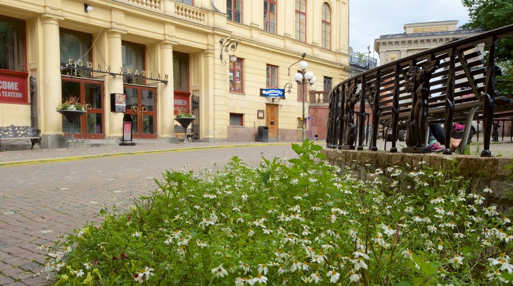 Sodra Teatern showing a garden