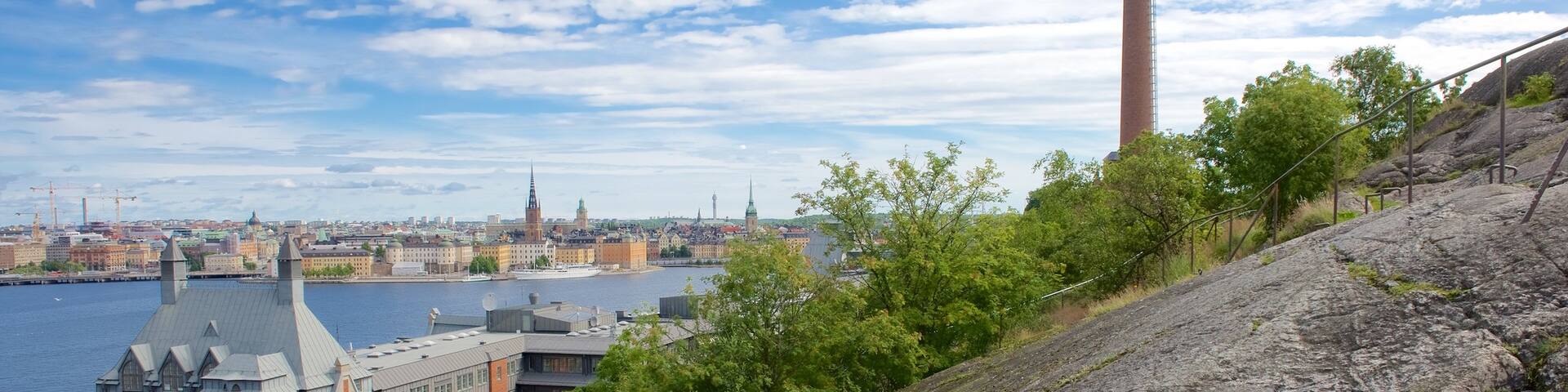 Skinnarvik Park featuring a city