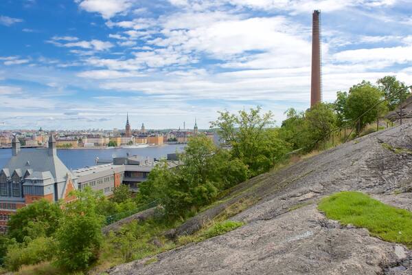 Skinnarvik Park showing a city