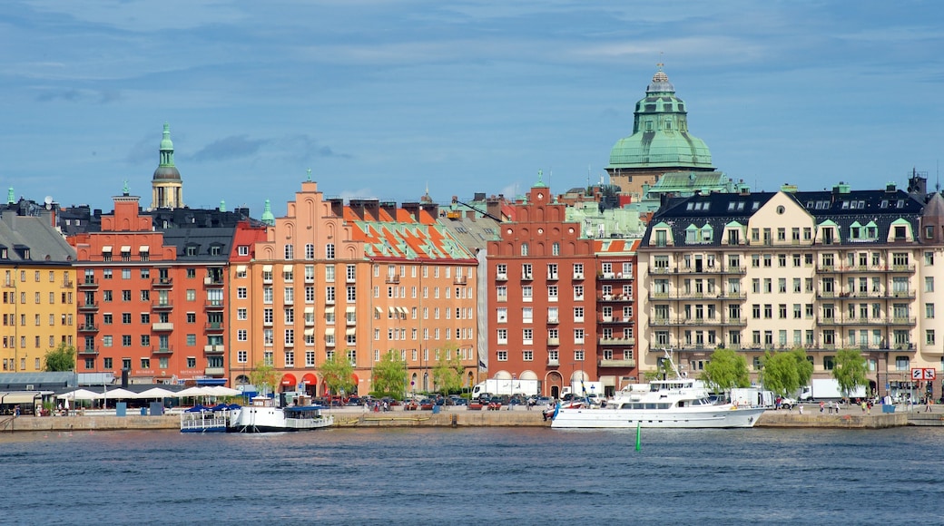 Skinnarvik Park showing a city