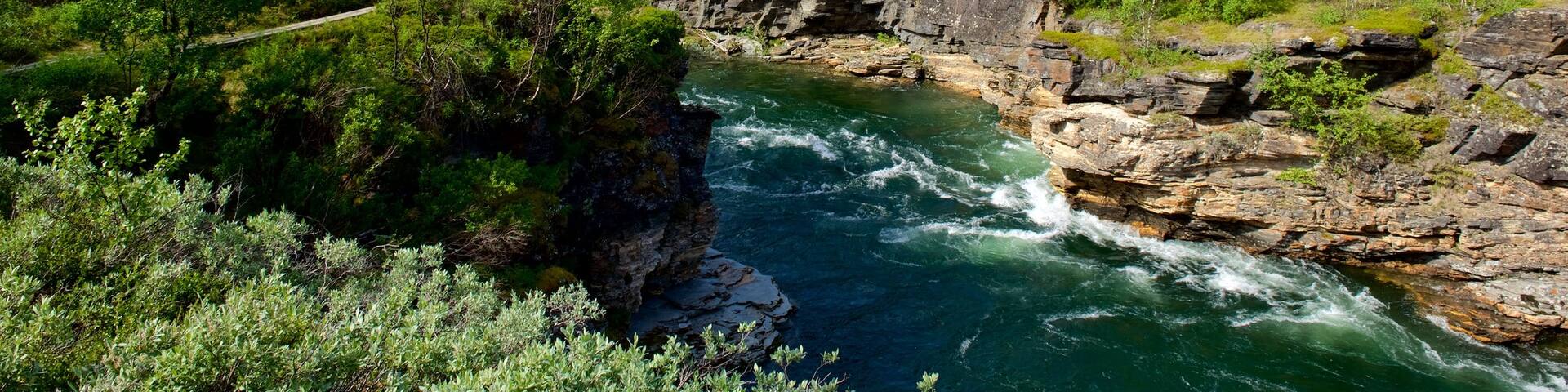 Abisko National Park which includes forests and a river or creek