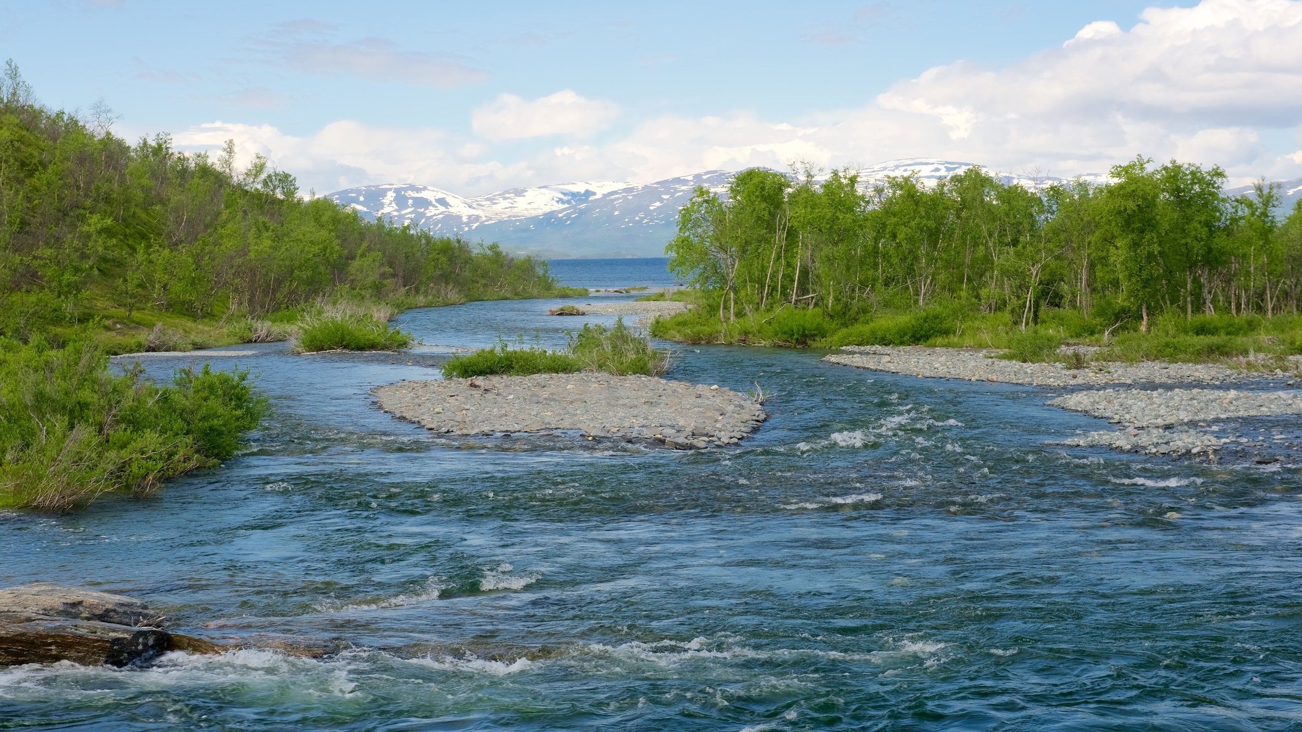 Abisko National Park welches beinhaltet Fluss oder Bach