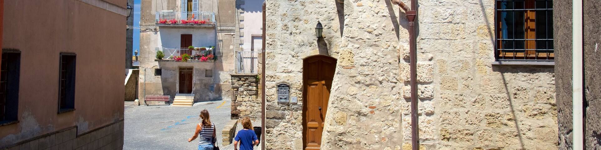 Tarquinia featuring heritage architecture