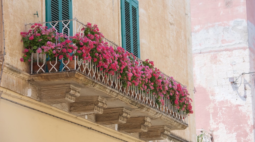 Trulli - Bari showing flowers