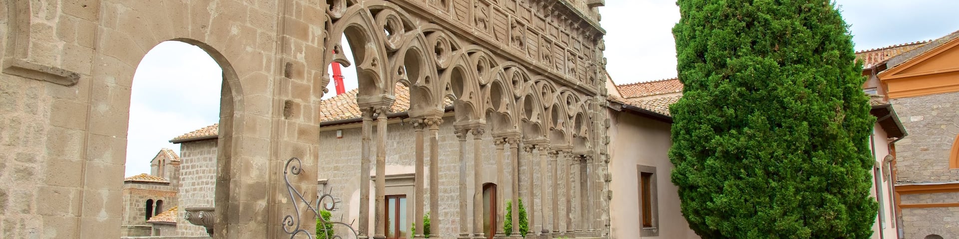 Viterbo showing heritage architecture