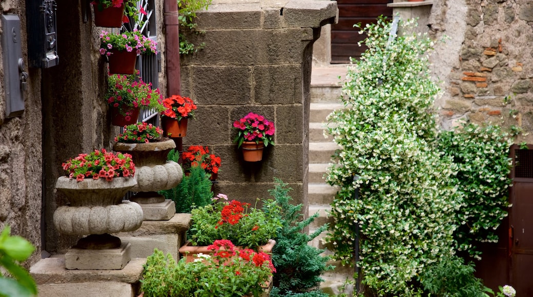 Bagnaia which includes flowers