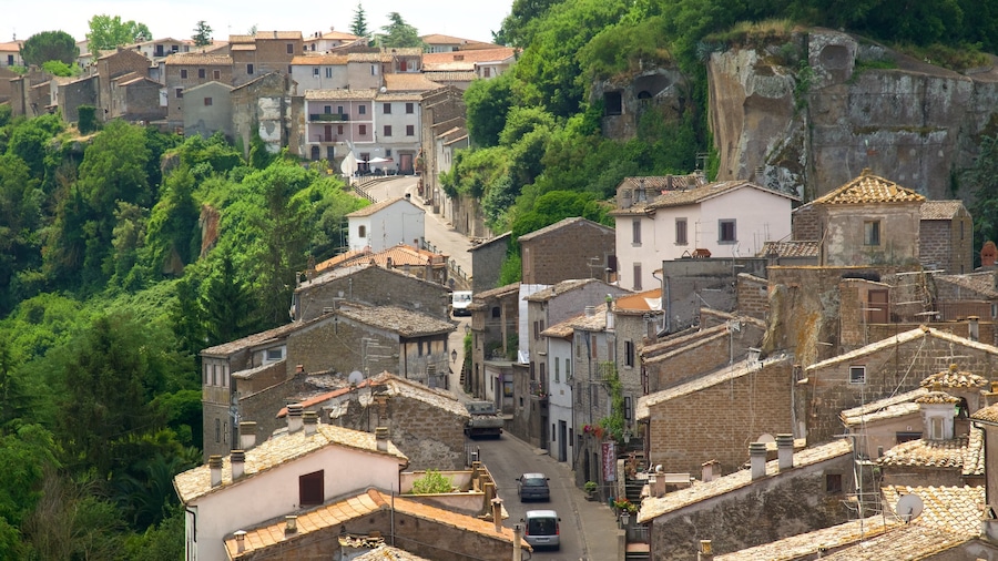Bomarzo featuring heritage architecture and a city