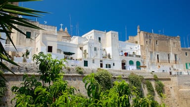 Monopoli showing a coastal town