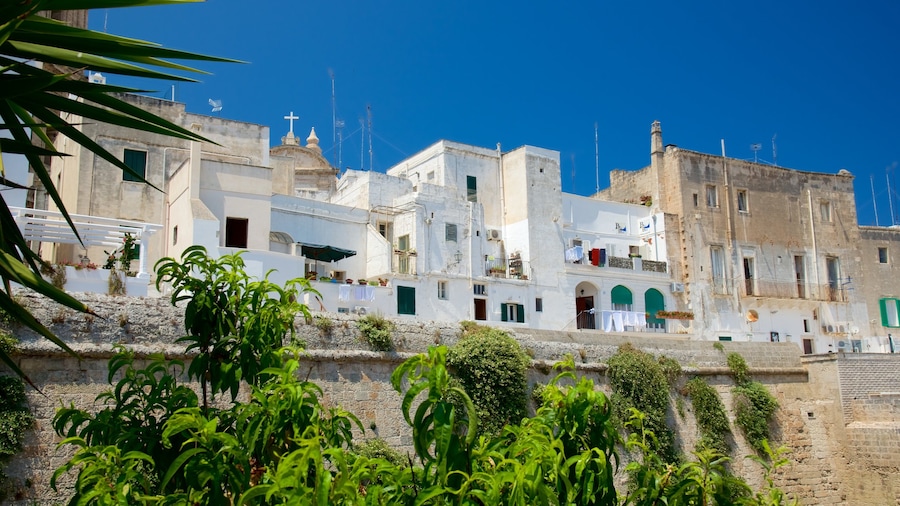 Monopoli showing a coastal town