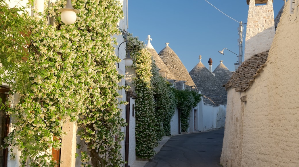 Alberobello toont een zonsondergang en bloemen