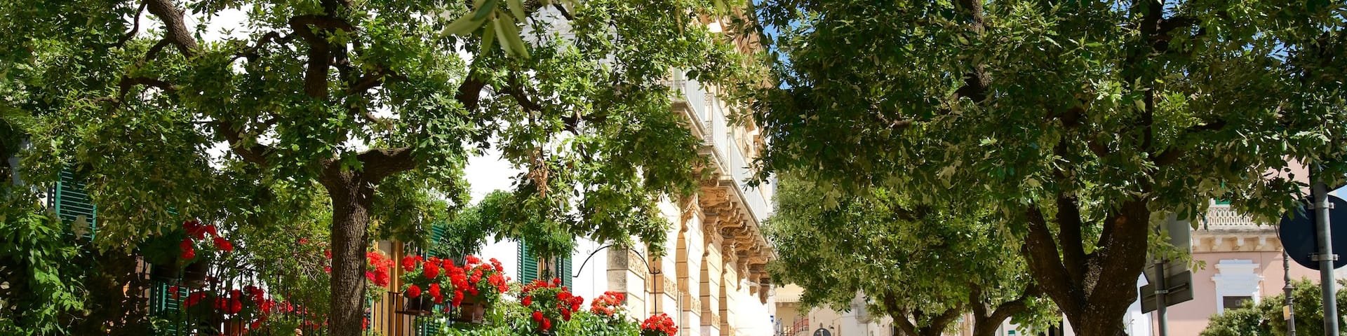 Locorotondo, Puglia, Olaszország
