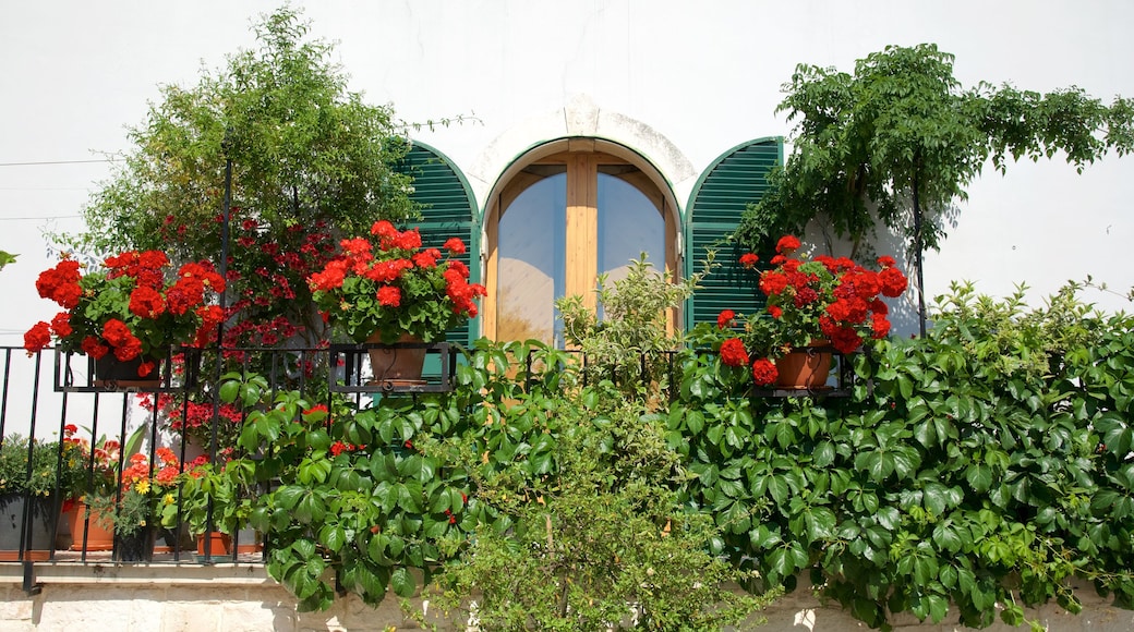 Locorotondo featuring a garden