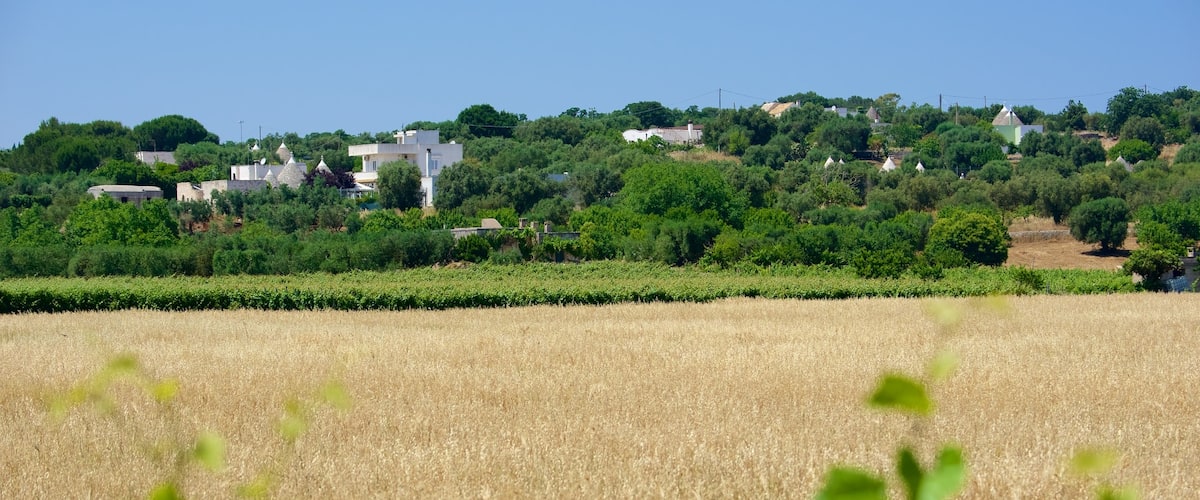 Brindisi showing farmland