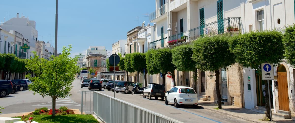 Brindisi que incluye escenas urbanas