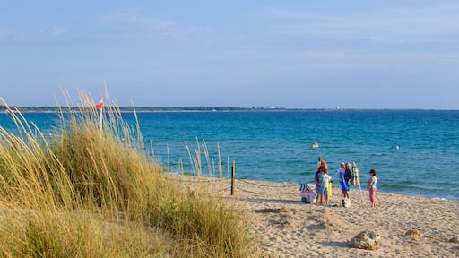 Spiaggia di Baia Verde caratteristiche di vista della costa e spiaggia