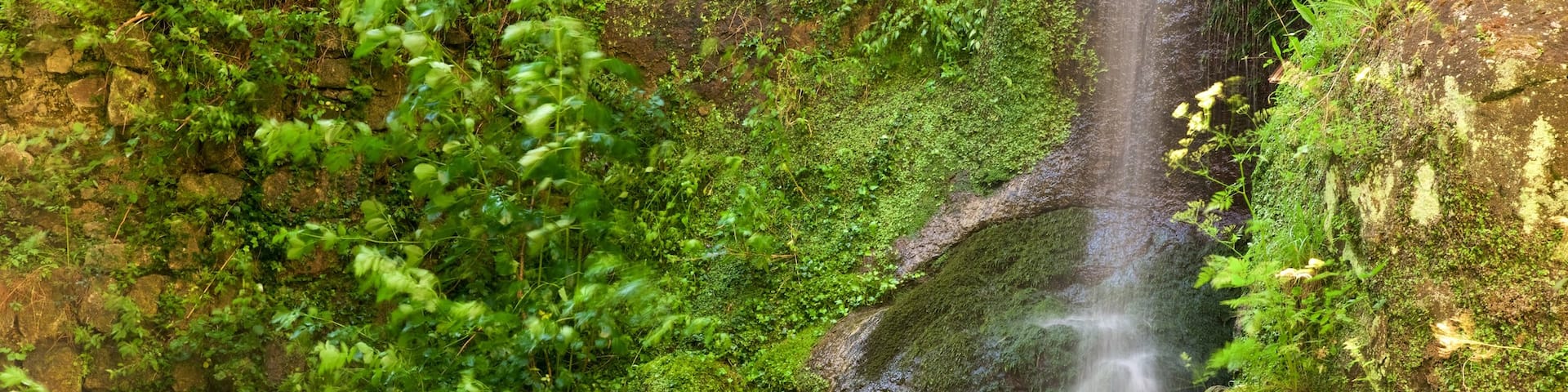 Palazzo Chigi-Albani which includes a waterfall
