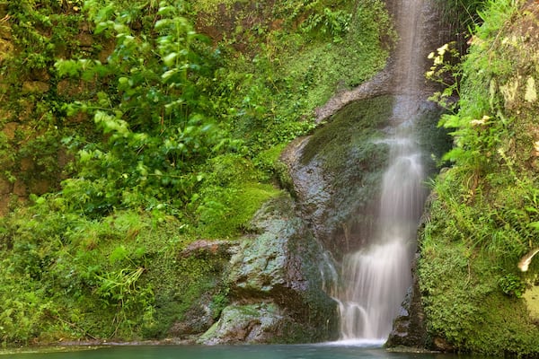 Palazzo Chigi-Albani showing a waterfall