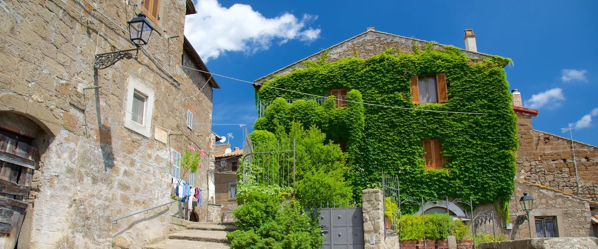 Vitorchiano caratteristiche di giardino