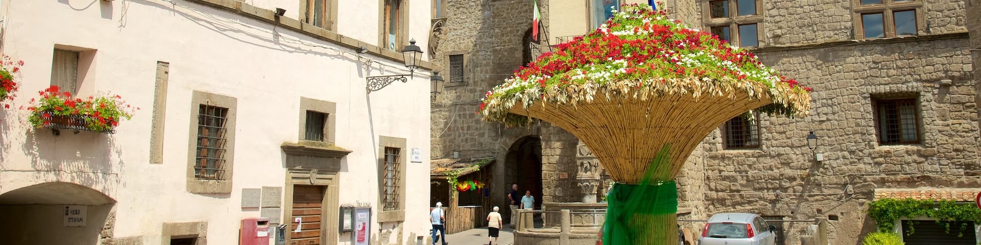 Vitorchiano featuring flowers