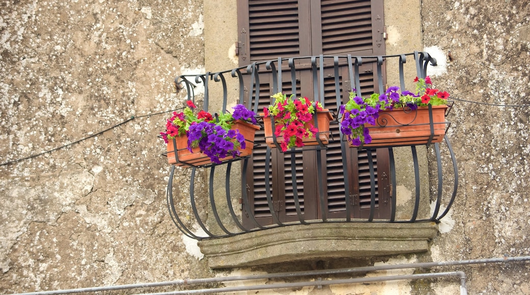 Bagnaia featuring flowers