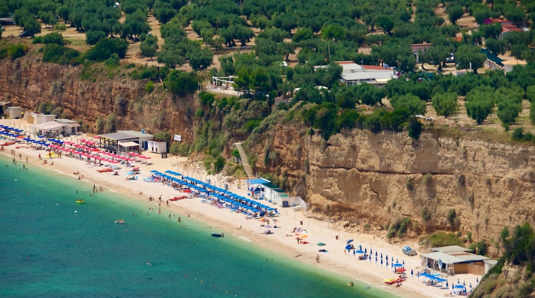 Gargano Peninsula featuring a beach and general coastal views