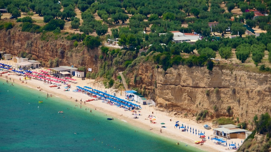 Península Gargano mostrando una playa y vistas generales de la costa