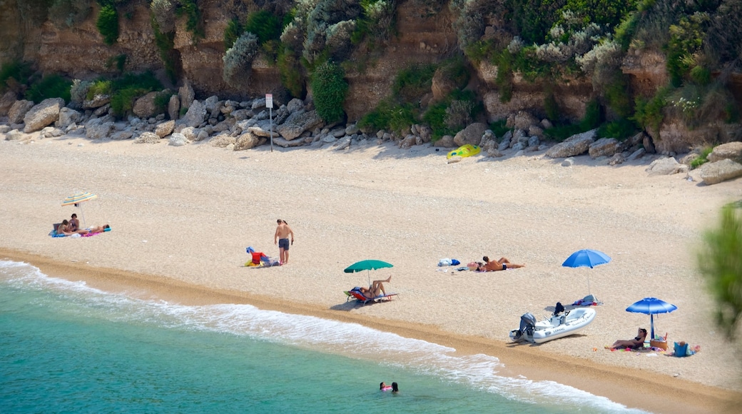 Península Gargano mostrando una playa de arena y vistas de una costa