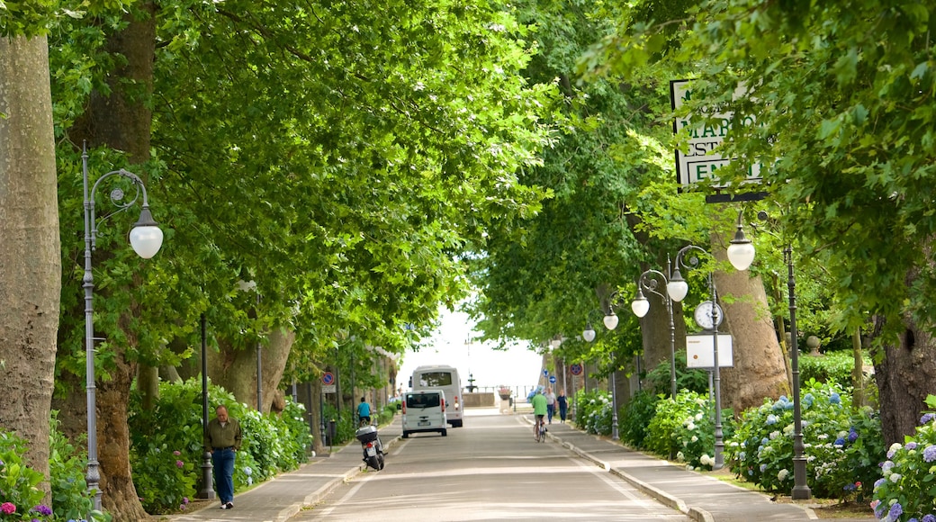 Meer van Bolsena toont een park