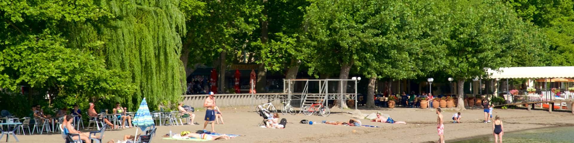 Lago di Bolsena welches beinhaltet Sandstrand und allgemeine Küstenansicht