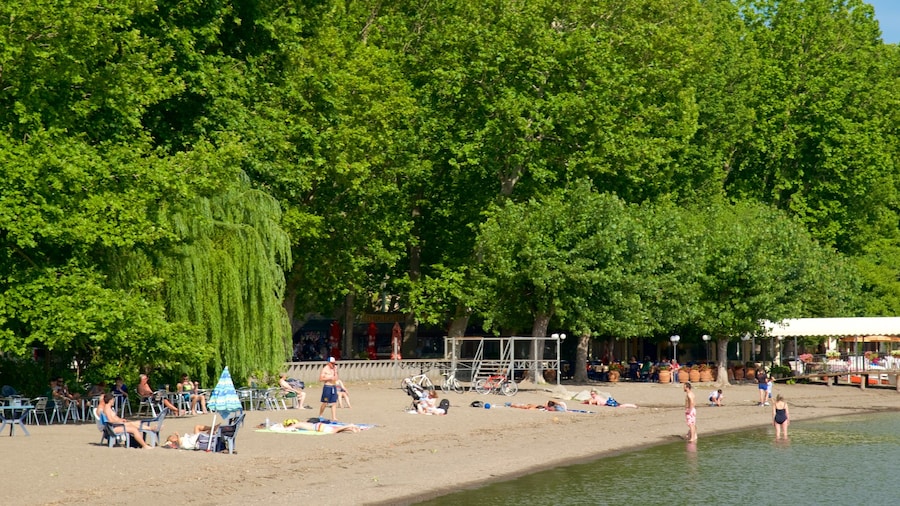 Bolsena-søen som viser udsigt over kystområde og en sandstrand