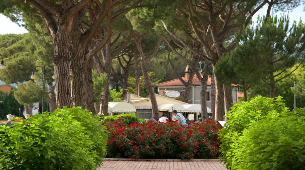 Lago di Bolsena caratteristiche di giardino