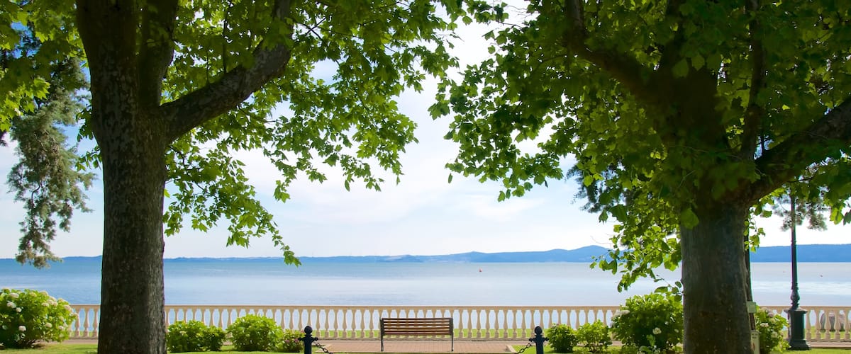 Lake Bolsena which includes a park