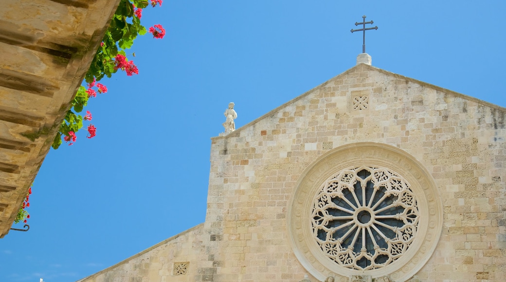 Cattedrale di Otranto mostrando chiesa o cattedrale, elementi religiosi e architettura d\'epoca