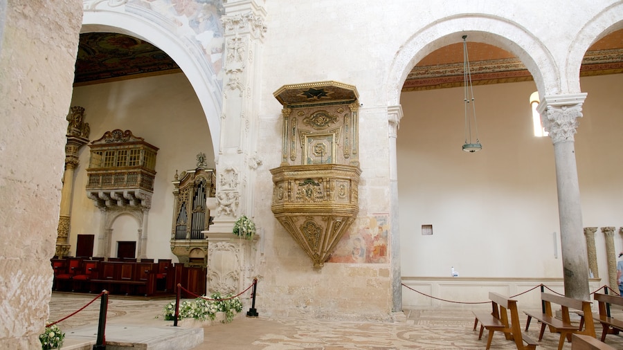 La Cattedrale di Otranto inclusief interieur, religieuze elementen en historische architectuur