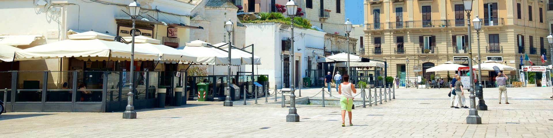 Piazza del Ferrarese showing heritage architecture