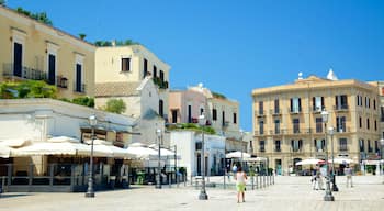 Piazza del Ferrarese which includes heritage architecture