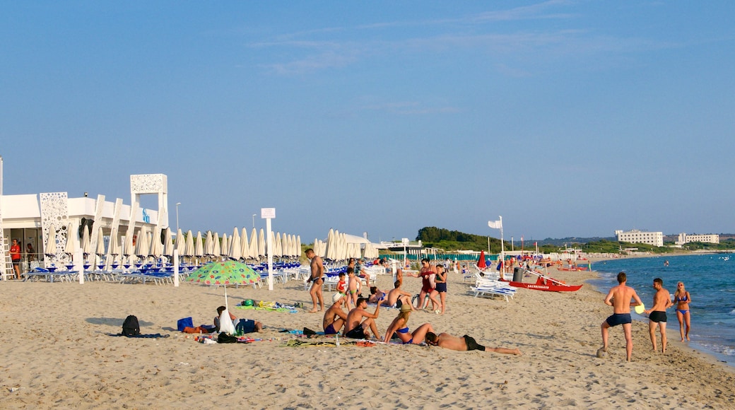 Baia Verde Beach showing a sandy beach and a sunset as well as a large group of people