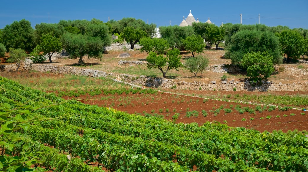 Puglia showing farmland