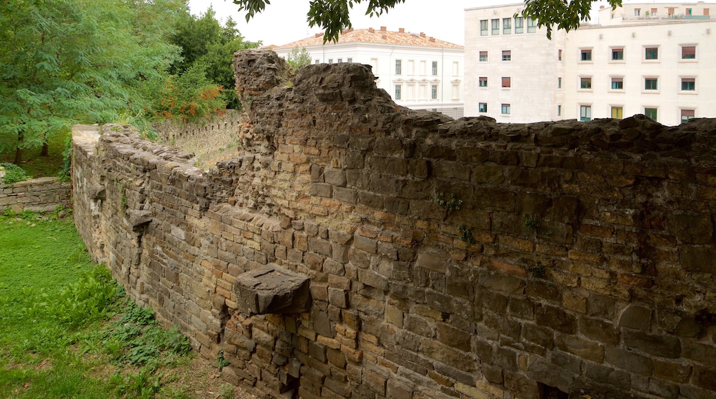 Roman Theatre welches beinhaltet Gebäuderuinen