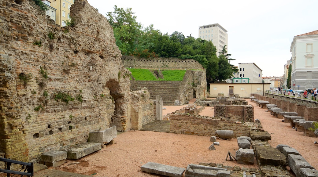 Roman Theatre which includes building ruins