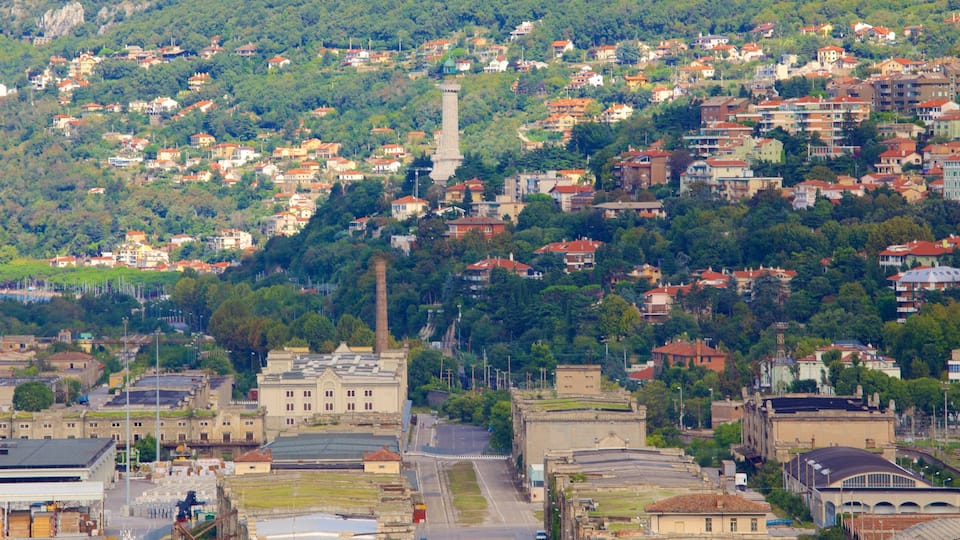 Trieste showing a city