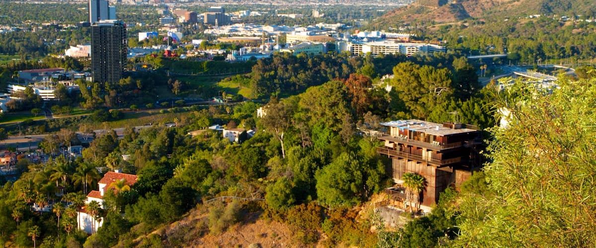 Los Ángeles que incluye una ciudad