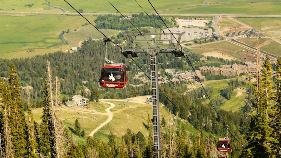 Jackson Hole Mountain Resort showing landscape views and a gondola
