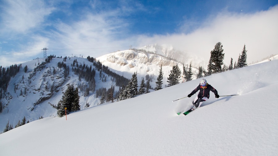 Jackson Hole Mountain Resort