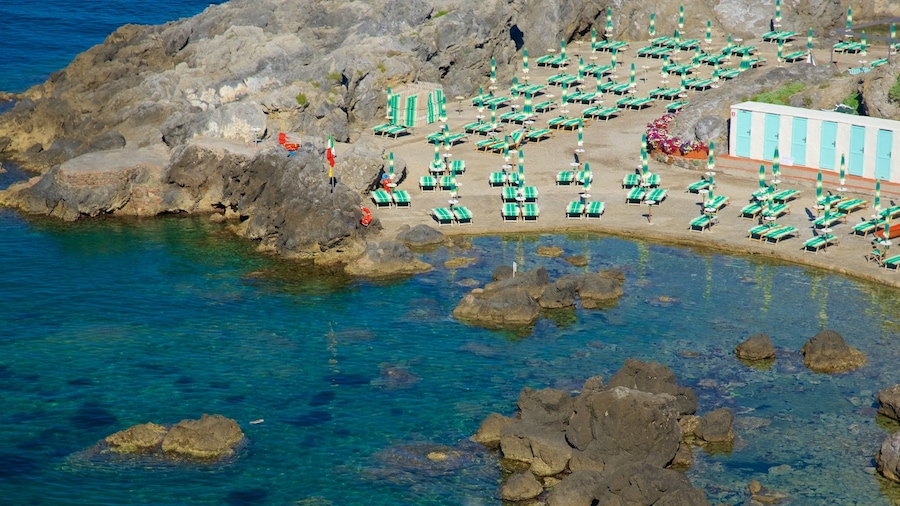 Talamone featuring rugged coastline
