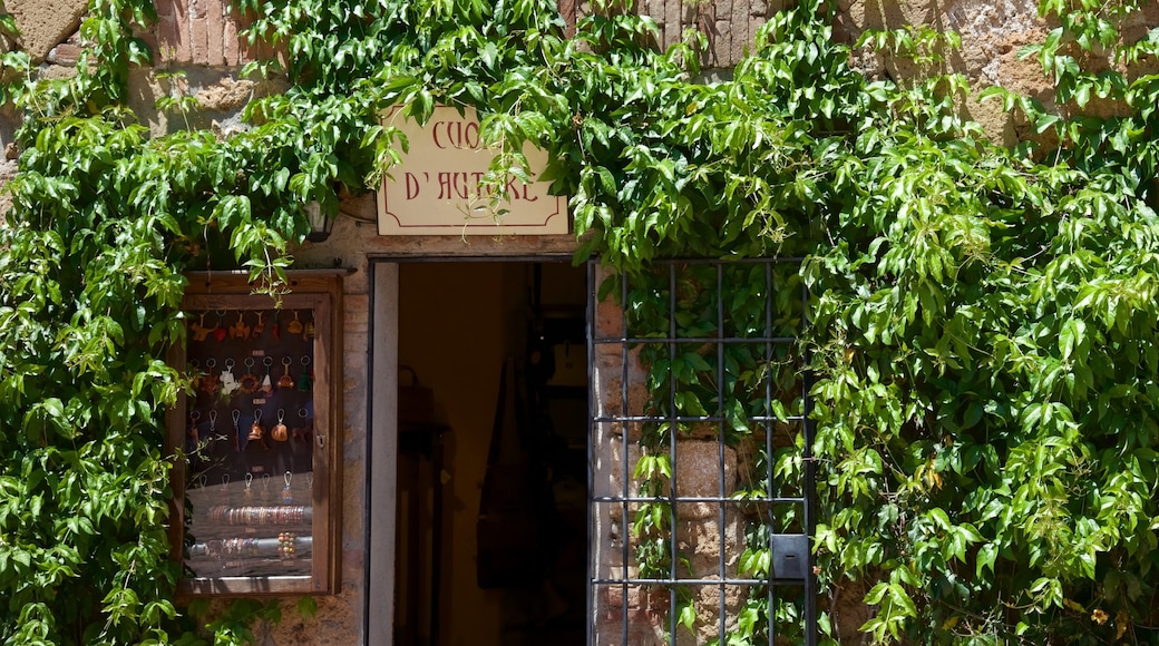 Sovana which includes signage