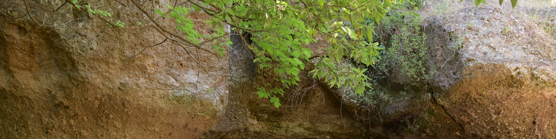Sovana mettant en vedette grottes