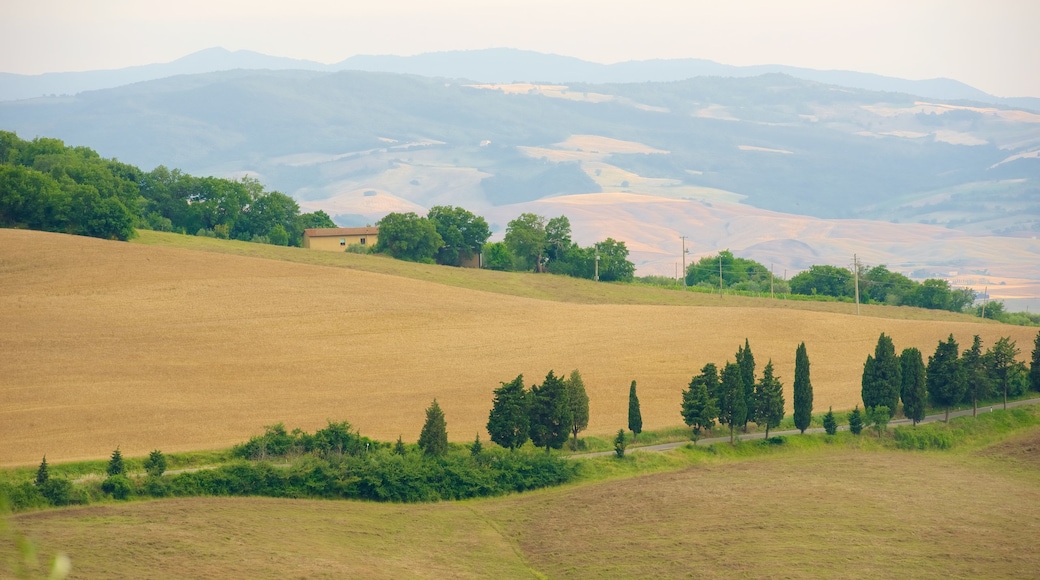 Monticchiello showing landscape views