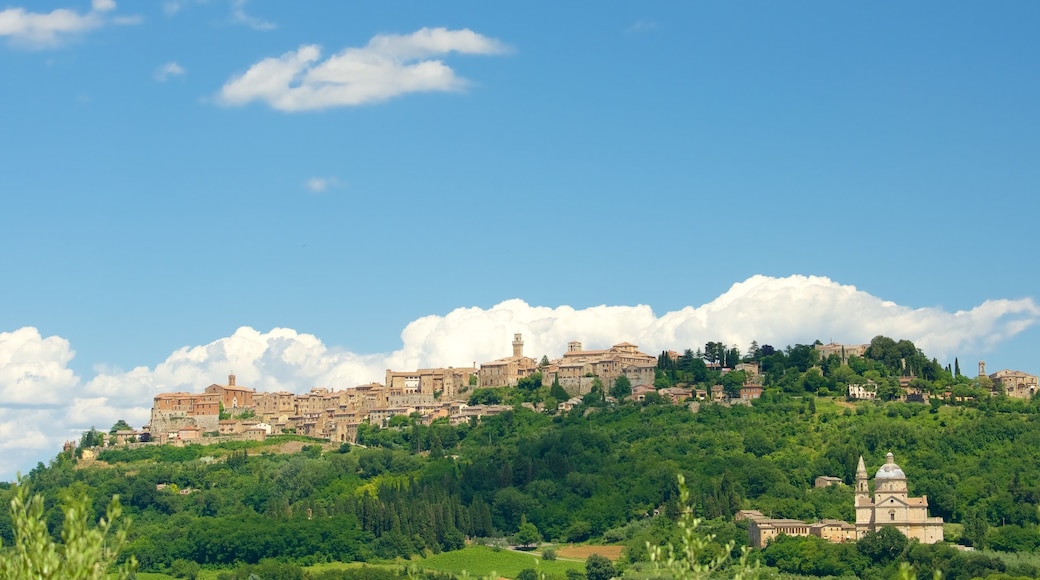 Montepulciano featuring a city