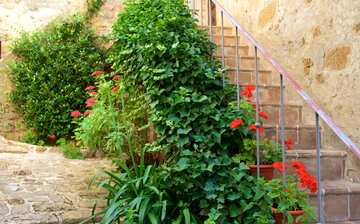 モンティッキエッロ観光ガイド 定番人気スポットを参考に自分にピッタリの観光プランを立てよう エクスペディア